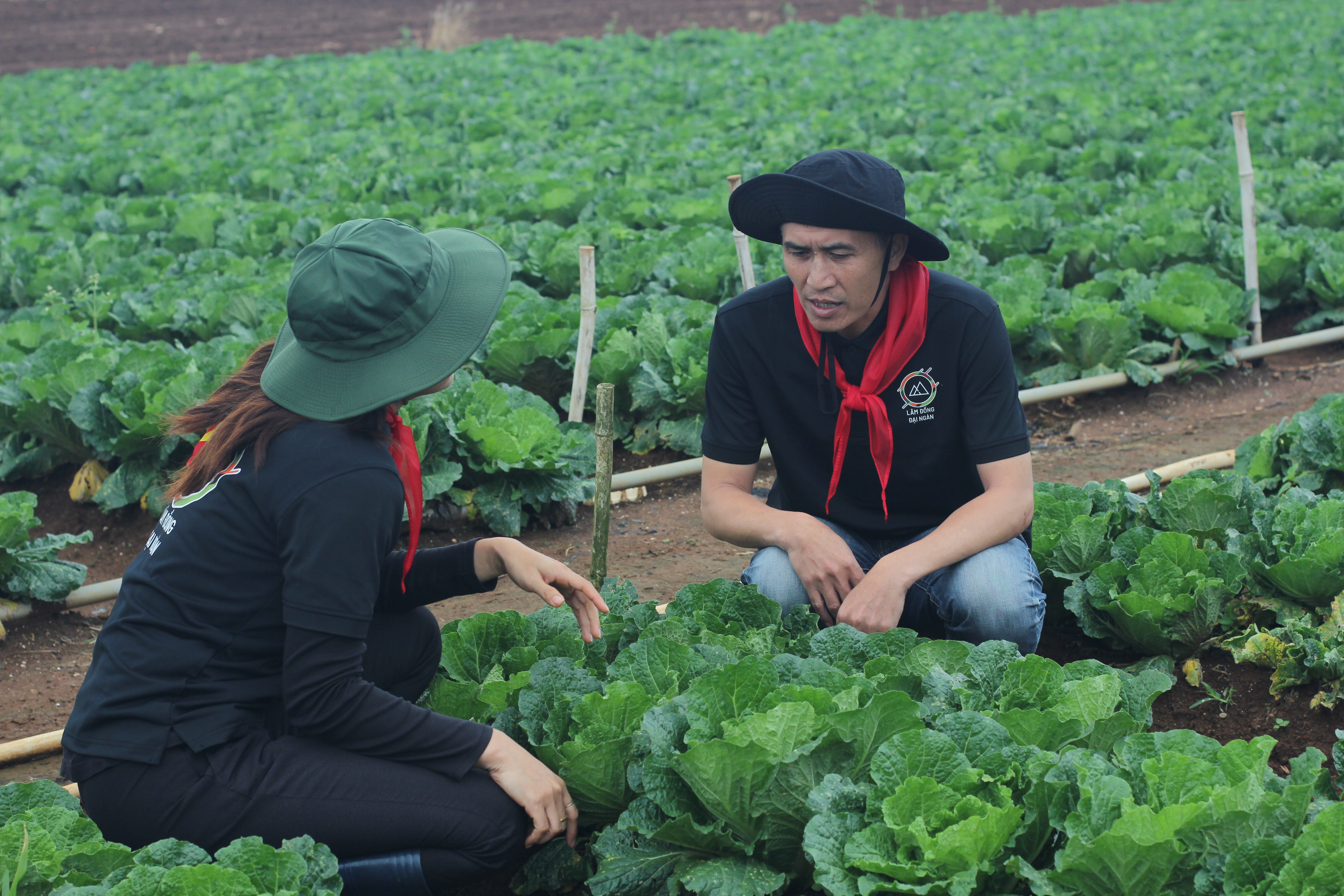 Hoạt động sản xuất theo mùa vụ