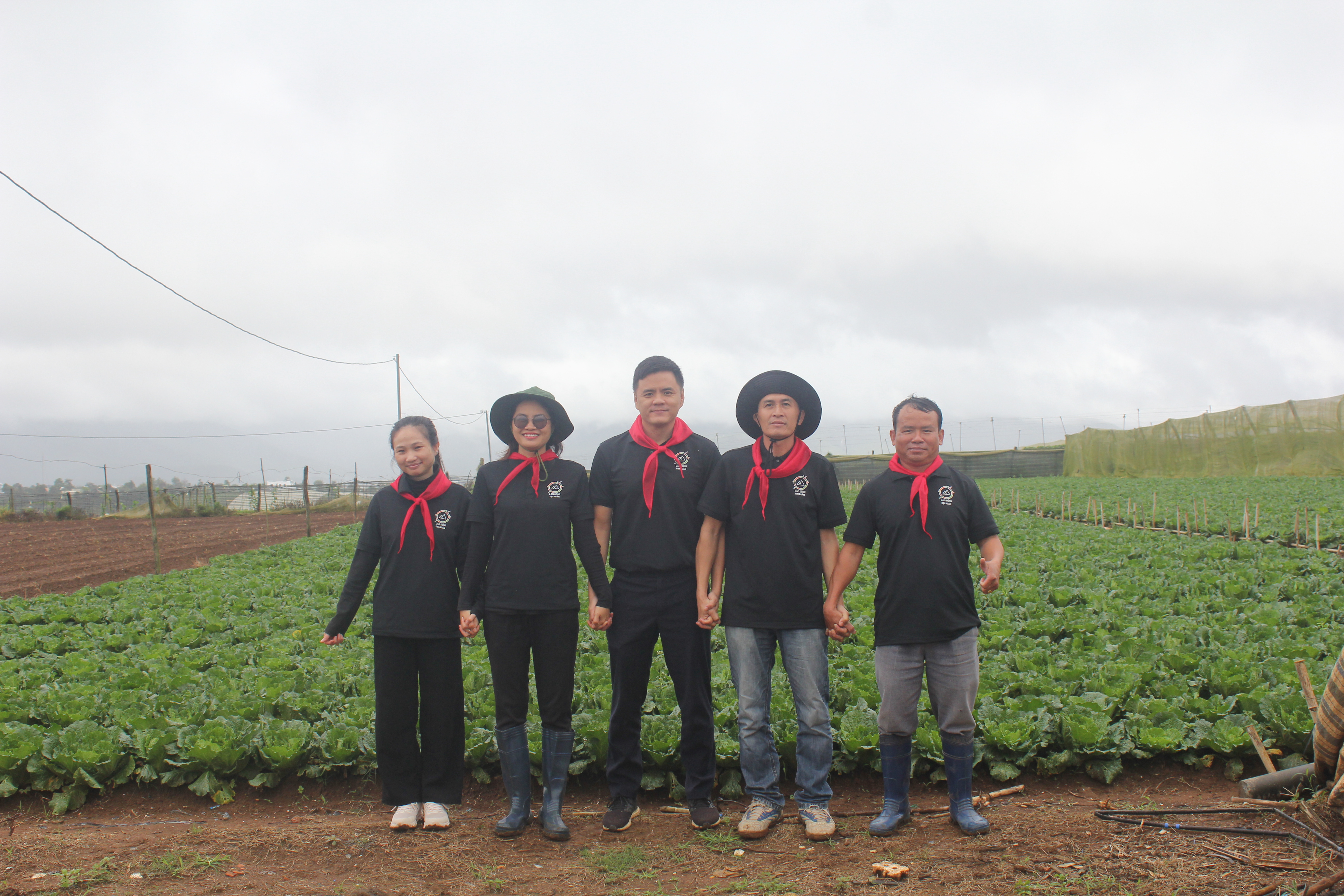 Cập nhật sản phẩm và giá trị dinh dưỡng