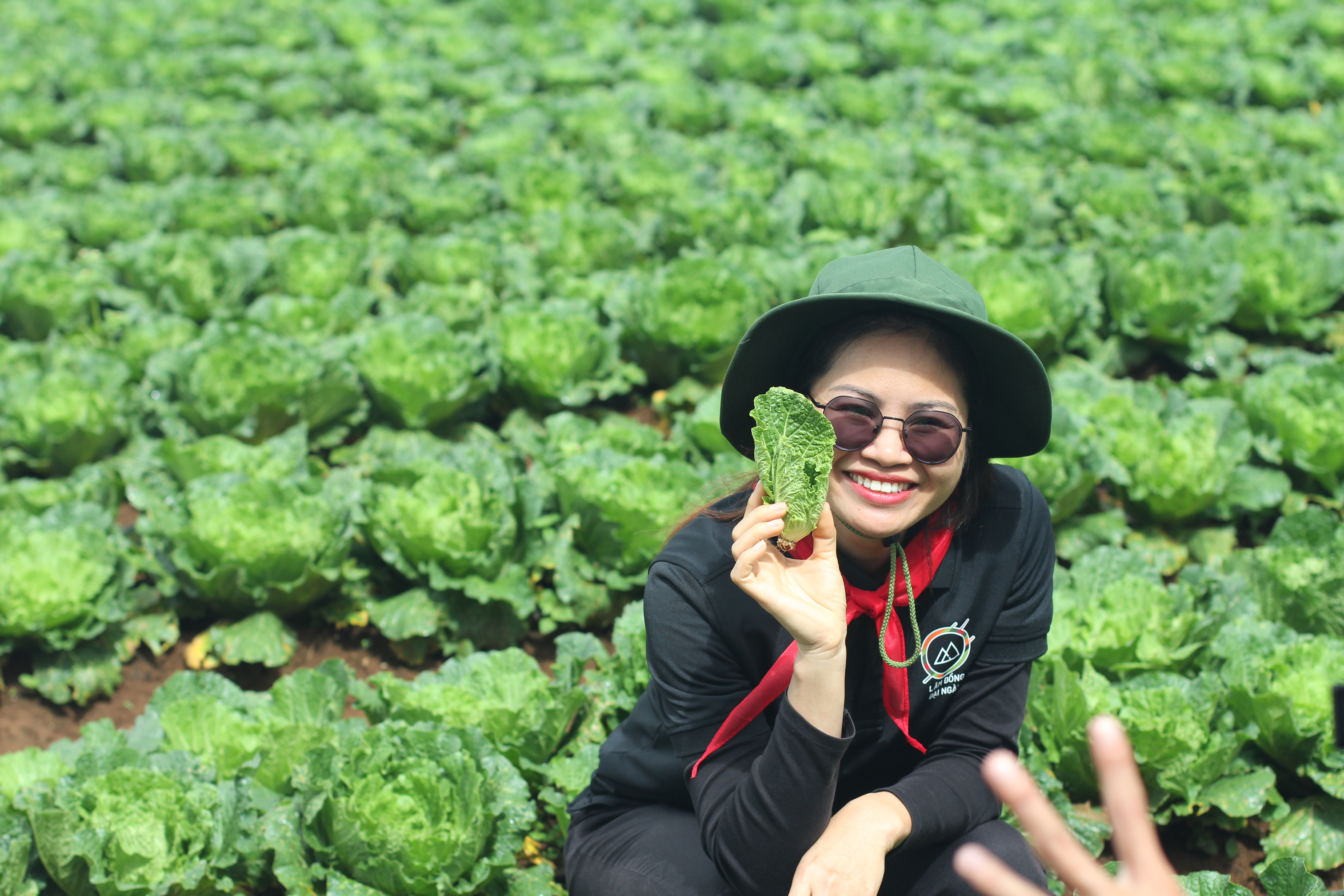 Tin tức hợp tác, phân phối và thị trường