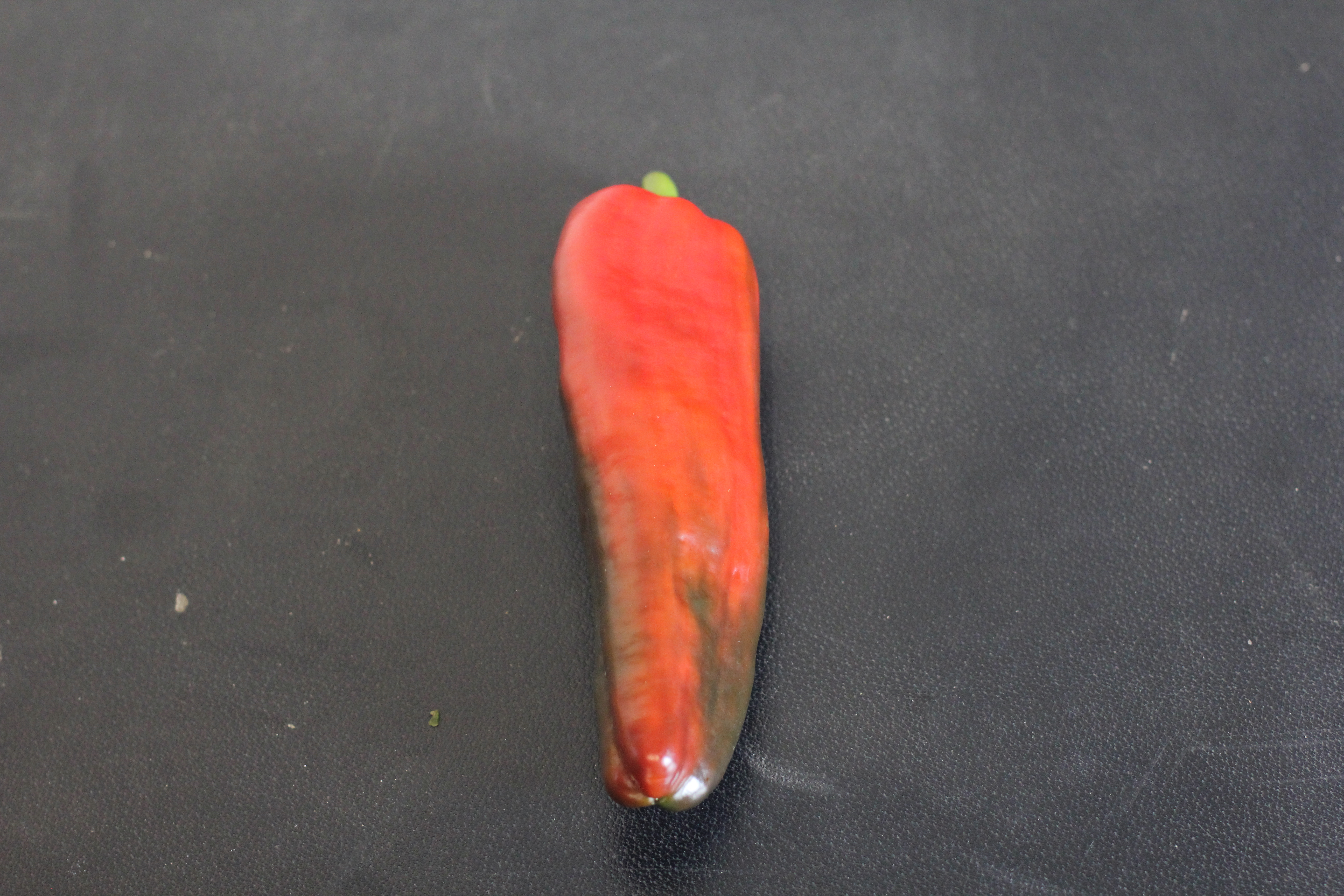 Ớt chuông Đà Lạt